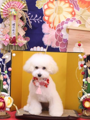 20240106ちゃこちゃん